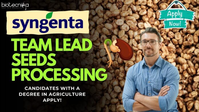 Team Lead Seeds Processing - Syngenta, Apply online!