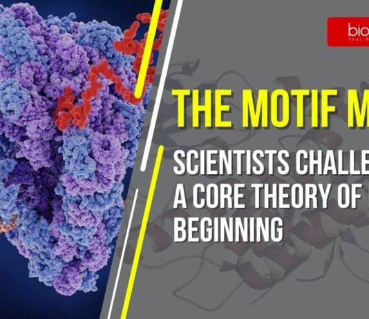 The Motif Myth Scientists Challenge a Core Theory of Life’s Beginning