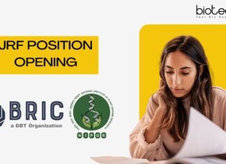 JRF Position Opening