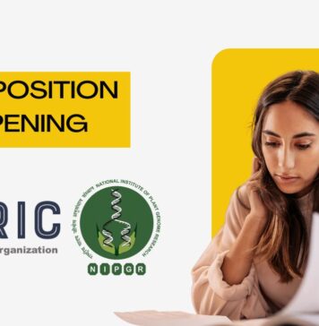 JRF Position Opening