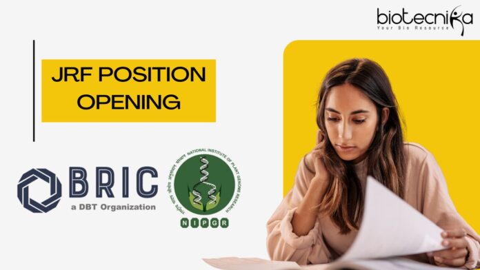 JRF Position Opening