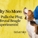 NIH Beagle Testing Ban - No More Cruelty