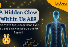 Hidden Light Emitted by Every Living Organism