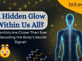 Hidden Light Emitted by Every Living Organism