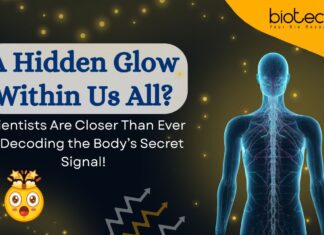 Hidden Light Emitted by Every Living Organism