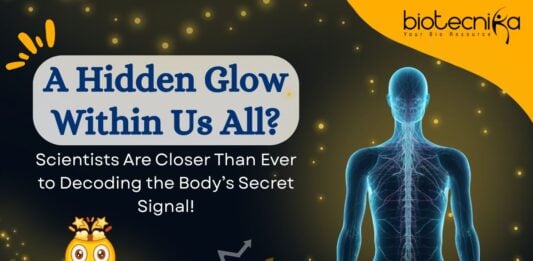 Hidden Light Emitted by Every Living Organism