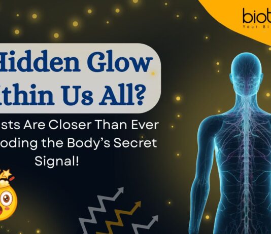 Hidden Light Emitted by Every Living Organism