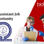 Project Assistant Job Opportunity