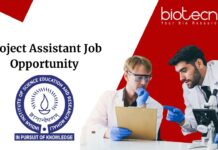Project Assistant Job Opportunity