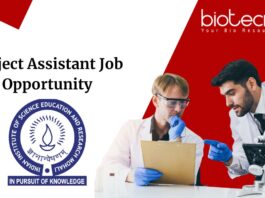 Project Assistant Job Opportunity