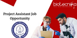 Project Assistant Job Opportunity