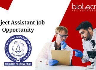 Project Assistant Job Opportunity