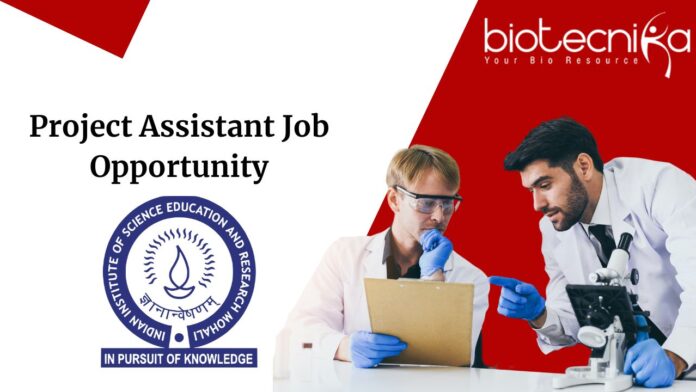 Project Assistant Job Opportunity