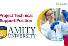 Project Technical Support Position