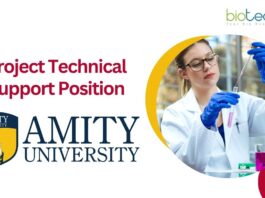 Project Technical Support Position