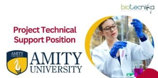 Project Technical Support Position