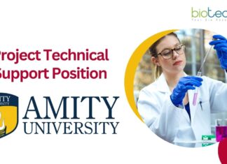 Project Technical Support Position