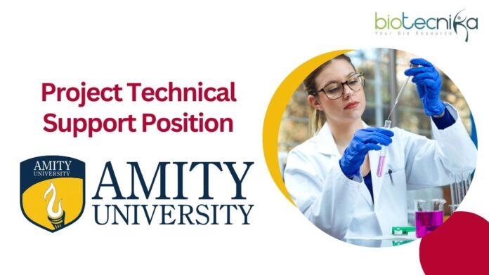 Project Technical Support Position