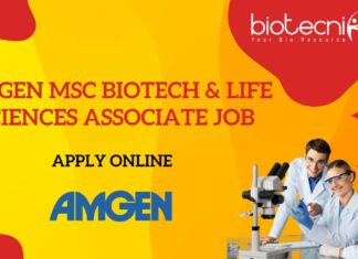 Amgen MSc Biotech Job Life Sciences