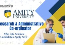 Amity University Research and Administrative Co-ordinator, MSc Life Science Candidates Apply Now