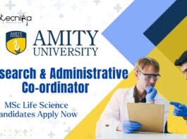 Amity University Research and Administrative Co-ordinator, MSc Life Science Candidates Apply Now
