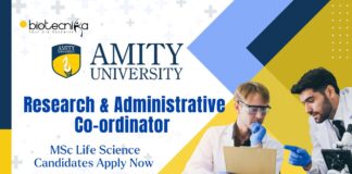 Amity University Research and Administrative Co-ordinator, MSc Life Science Candidates Apply Now