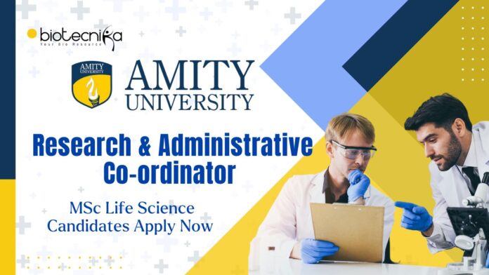 Amity University Research and Administrative Co-ordinator, MSc Life Science Candidates Apply Now