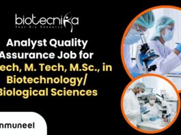 Analyst Quality Assurance Job