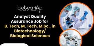 Analyst Quality Assurance Job