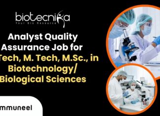 Analyst Quality Assurance Job