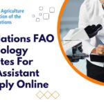 United Nations FAO India Jobs