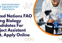 United Nations FAO India Jobs