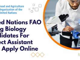 United Nations FAO India Jobs