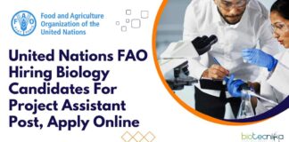 United Nations FAO India Jobs