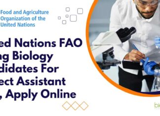 United Nations FAO India Jobs