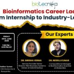 Bioinformatics Career Ladder