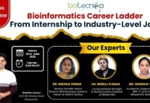 Bioinformatics Career Ladder