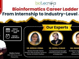 Bioinformatics Career Ladder