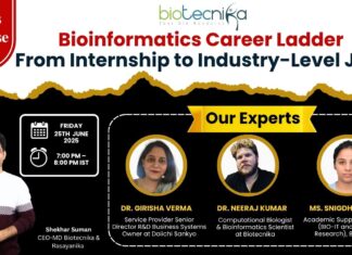 Bioinformatics Career Ladder