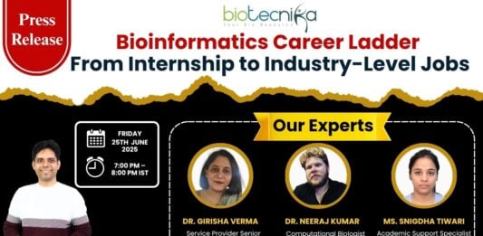 Bioinformatics Career Ladder