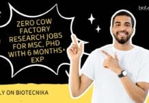 Zero Cow Factory Research Jobs For MSc