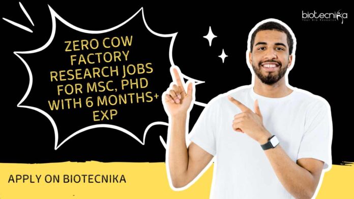 Zero Cow Factory Research Jobs For MSc