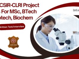 CLRI Biotech Project Jobs