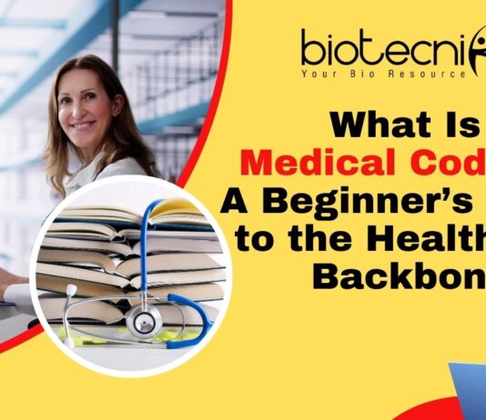 What Is Medical Coding?