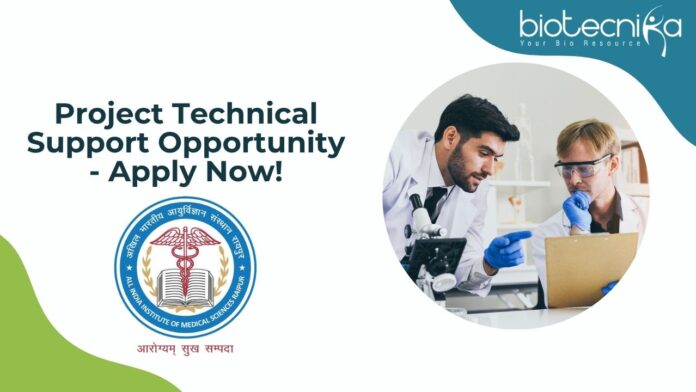 Project Technical Support Opportunity - Apply Now!