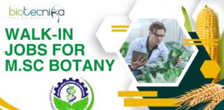 CSIR-CIMAP Jobs 2025 for M.Sc. Botany Graduates - Apply Now!