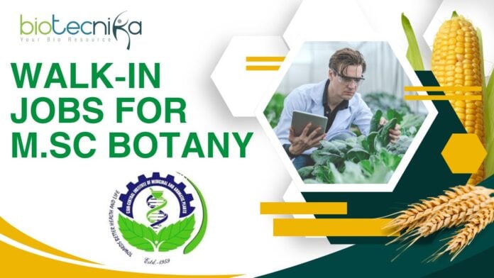 CSIR-CIMAP Jobs 2025 for M.Sc. Botany Graduates - Apply Now!