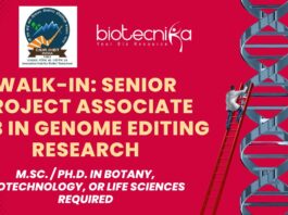CSIR-IHBT Hiring Senior Project Associate Job – Apply Now!