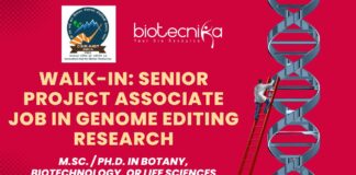 CSIR-IHBT Hiring Senior Project Associate Job – Apply Now!