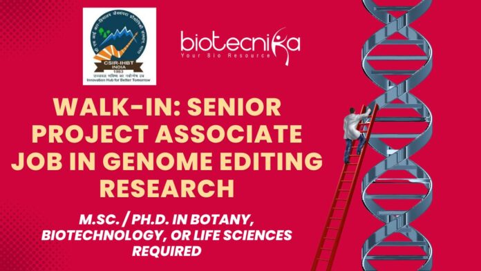 CSIR-IHBT Hiring Senior Project Associate Job – Apply Now!